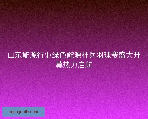 山东能源行业绿色能源杯乒羽球赛盛大开幕热力启航