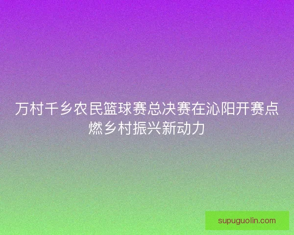 万村千乡农民篮球赛总决赛在沁阳开赛点燃乡村振兴新动力